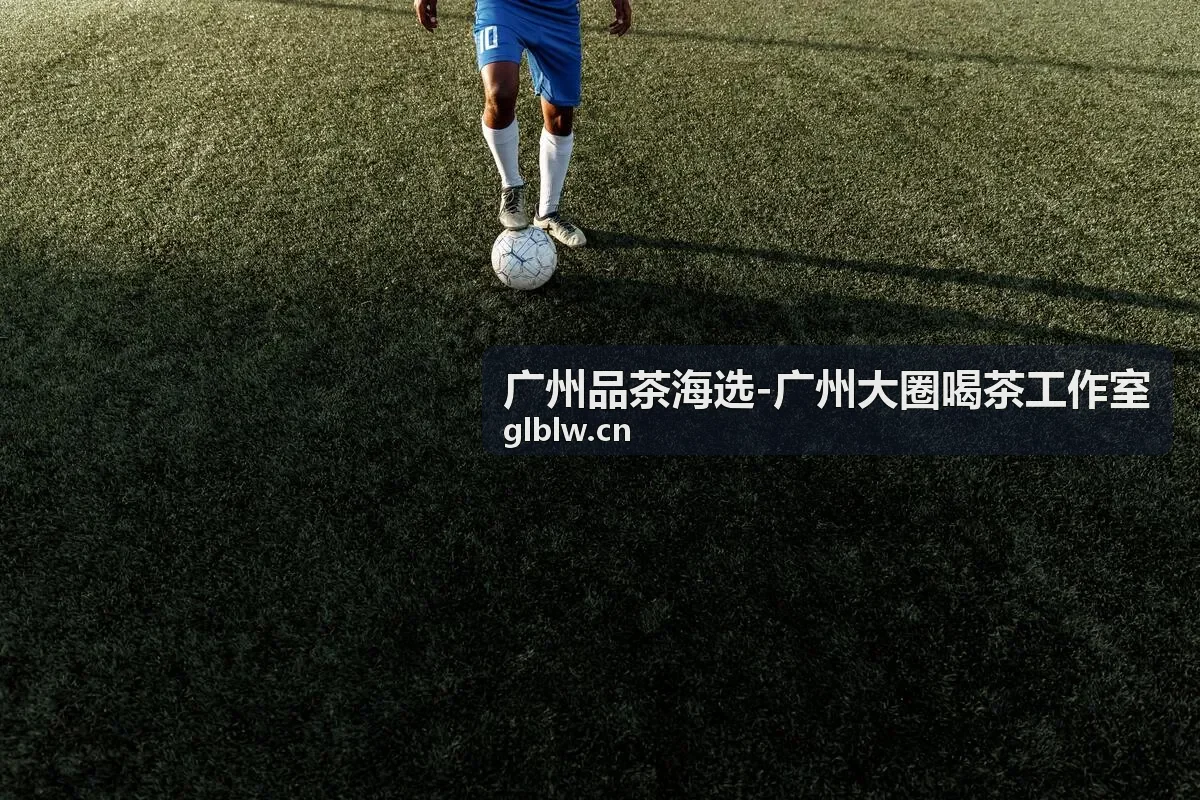 广州品茶海选武夷岩茶品鉴体验