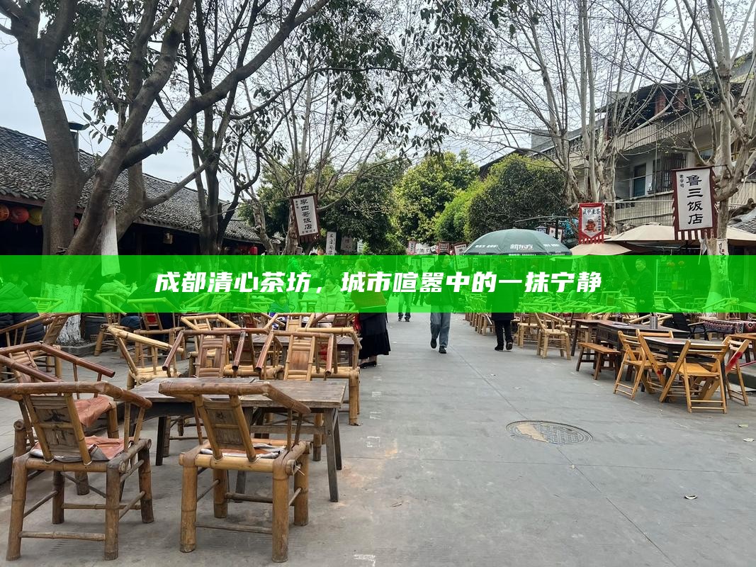 成都清心茶坊，城市喧嚣中的一抹宁静