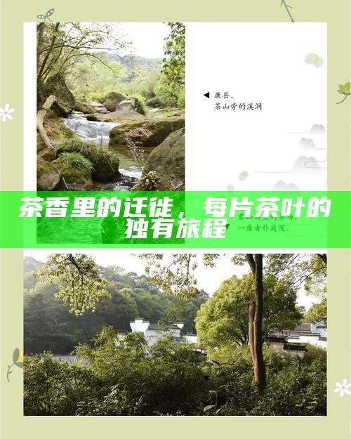 茶香里的迁徙，每片茶叶的独有旅程