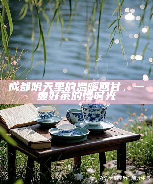 成都阴天里的温暖回甘，一壶好茶的慢时光