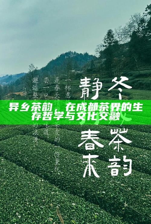 成都茶韵，一壶温情，两心相知的茶语时光