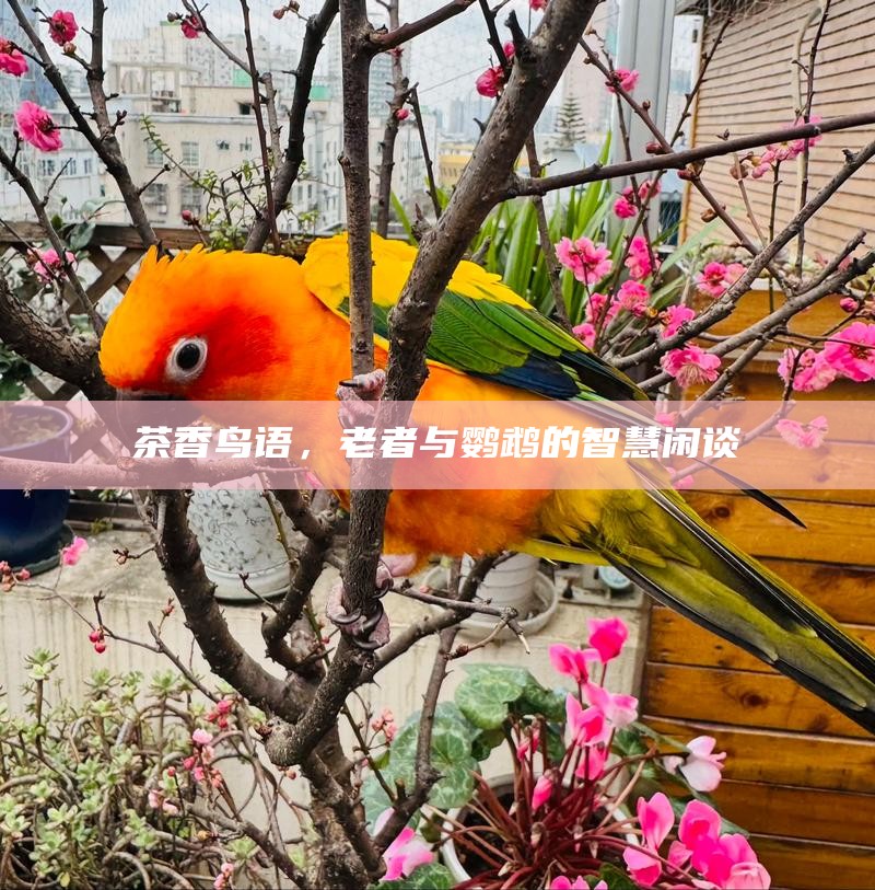 茶香鸟语，老者与鹦鹉的智慧闲谈