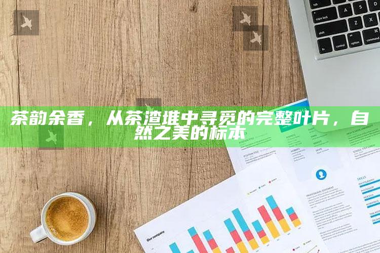 茶韵余香，从茶渣堆中寻觅的完整叶片，自然之美的标本