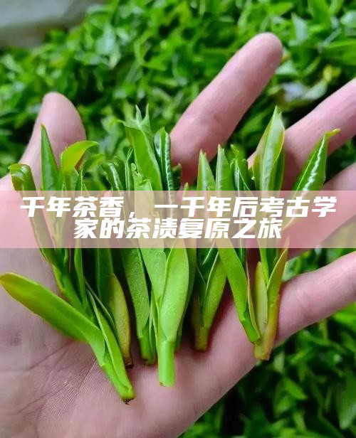 千年茶香，一千年后考古学家的茶渍复原之旅