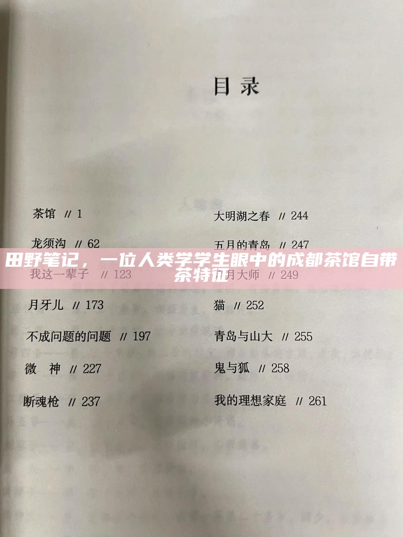 茶香里的故事，茶馆里的民间说书人与无价的传说