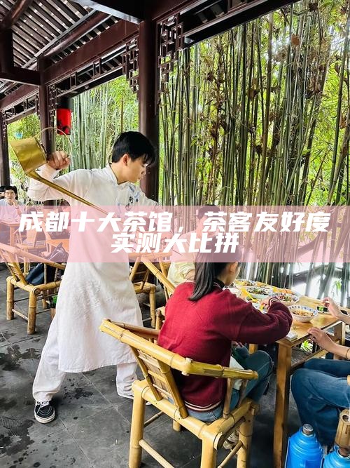成都十大茶馆，茶客友好度实测大比拼