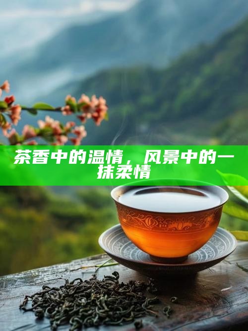 茶香中的温情，风景中的一抹柔情