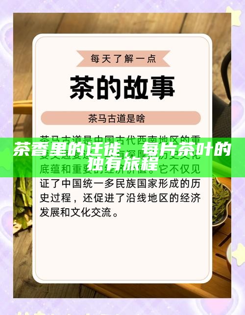 茶香里的迁徙，每片茶叶的独有旅程