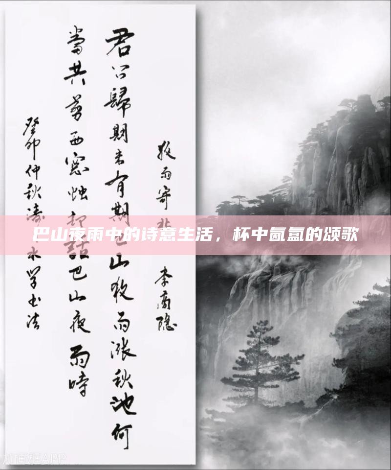 巴山夜雨中的诗意生活，杯中氤氲的颂歌