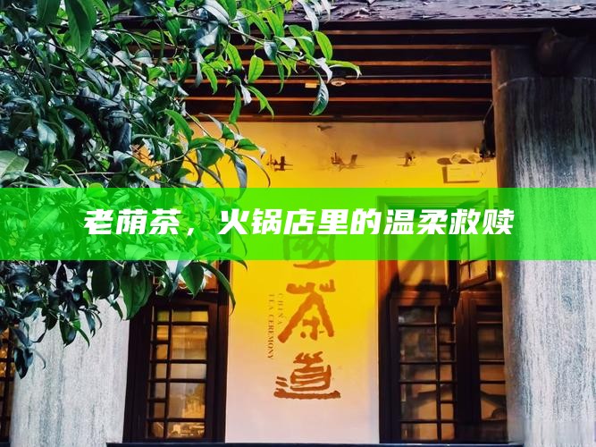 老荫茶,火锅店里的温柔救赎