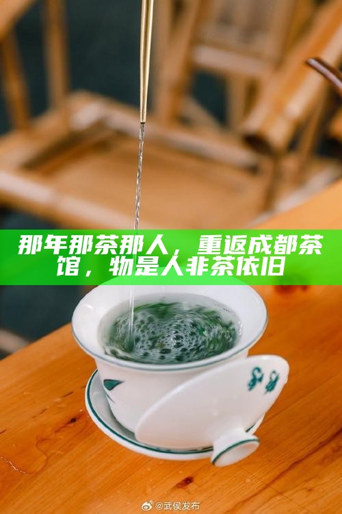那年那茶那人,重返成都茶馆,物是人非茶依旧